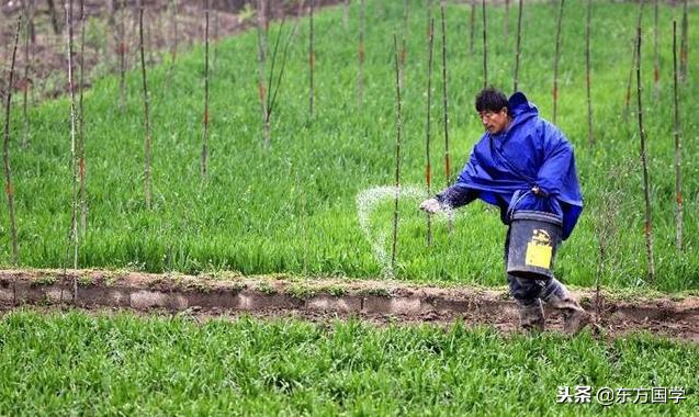 农村谚语“秋水老子冬水娘，浇好春水多打粮”，如何看待这句话？