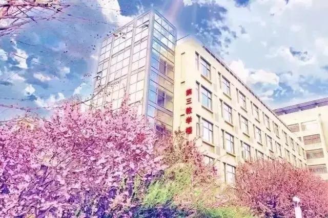 天津市高级中等学校,天津市锐华高级中学