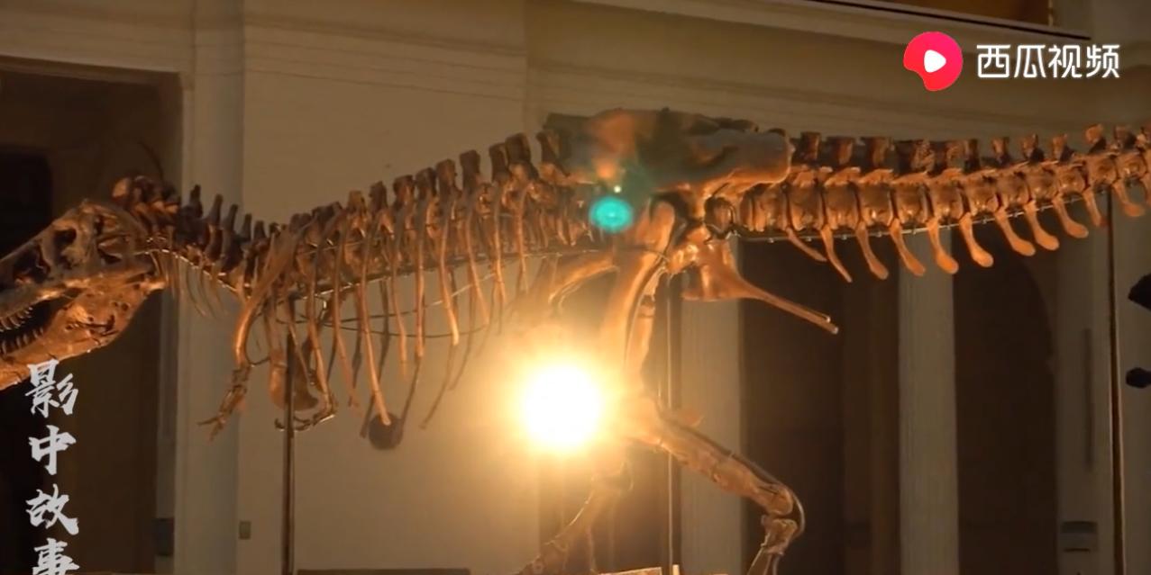 最真实的恐龙视频特效,恐龙霸王龙视频大全真实版