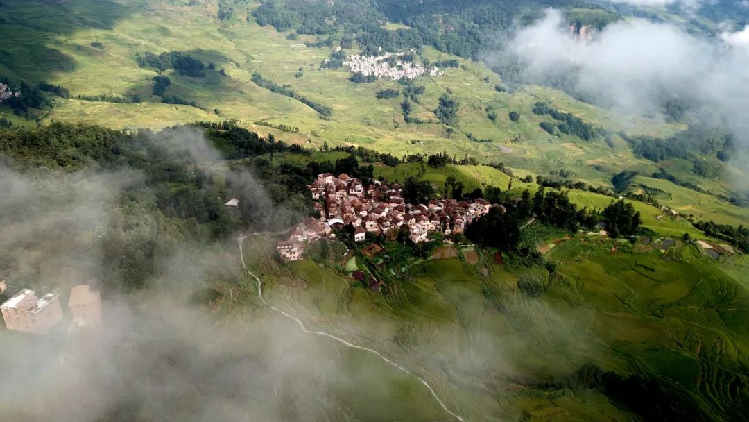 红河哈尼梯田的高考题,云南红河元阳高考
