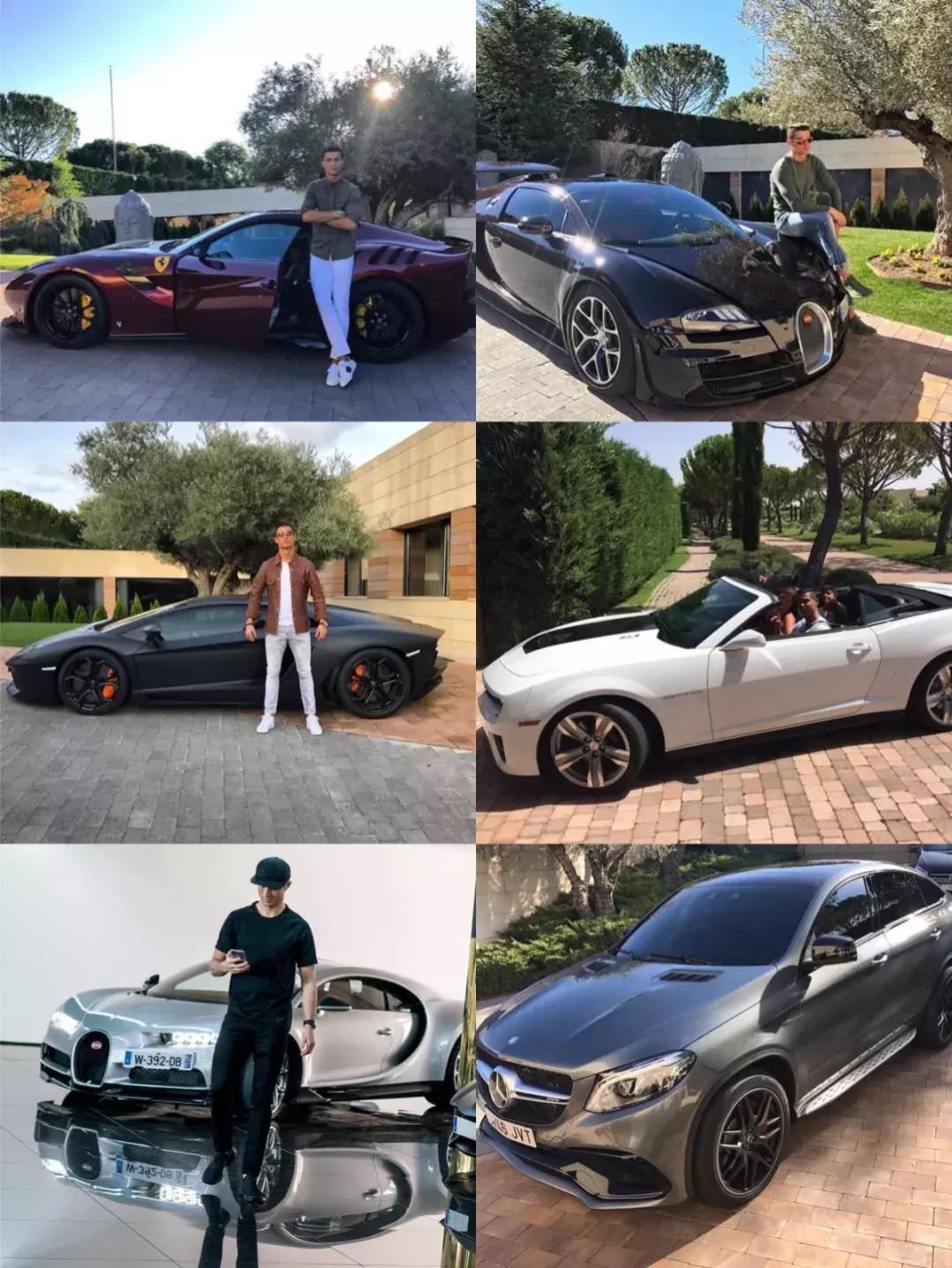 老佛爷的猫继承多少遗产,老佛爷去世了猫继承了多少遗产