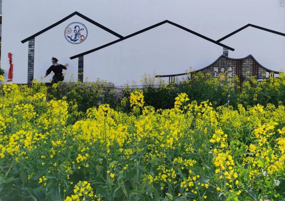 台州藏在深山里的世外桃源,台州家乡春天的美景