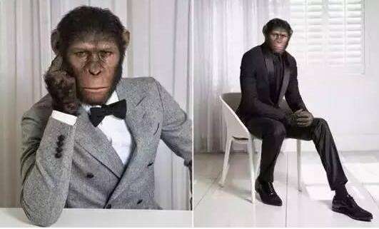 c语言零基础入门推荐书目,嵌入式c语言零基础入门