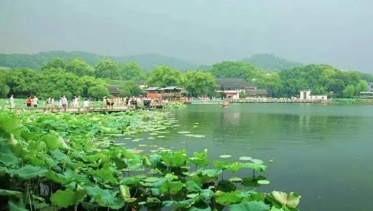 鑻忓窞鍥灄vs鏉窞瑗挎箹,鏉窞瑗挎箹vs鑻忓窞鍥灄