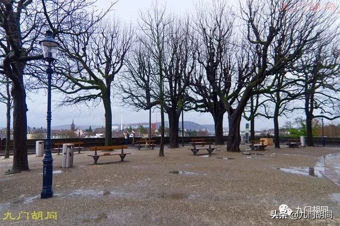 巴塞尔大教堂宝物图片,巴塞尔大教堂介绍