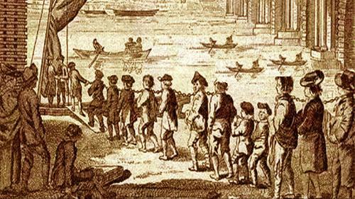 澳大利亚野山羊为什么不出口,澳大利亚野山羊不能吃吗