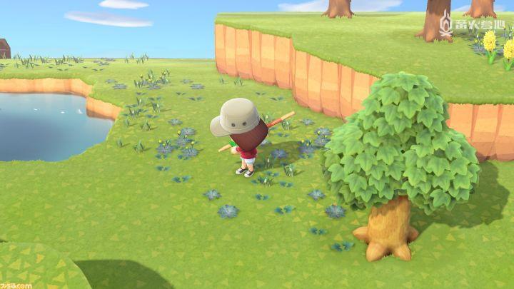 动物森友会为什么是个恐怖游戏,动物森友会哪些游戏机能玩