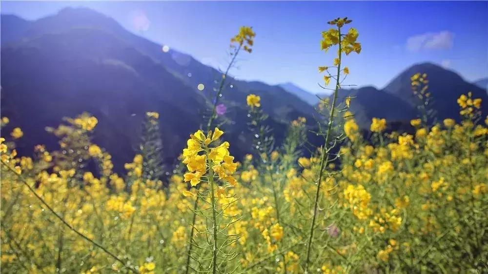 四川乐山金口河风景图片,四川乐山金口河老照片