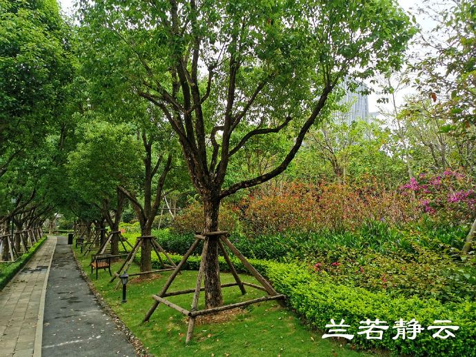 厦门波特曼七星湾酒店早餐价格,厦门波特曼七星湾酒店1799