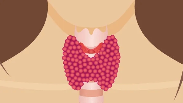 中医实战笔记知柏地黄丸配方,阴虚火旺吃知柏地黄丸几盒见效果