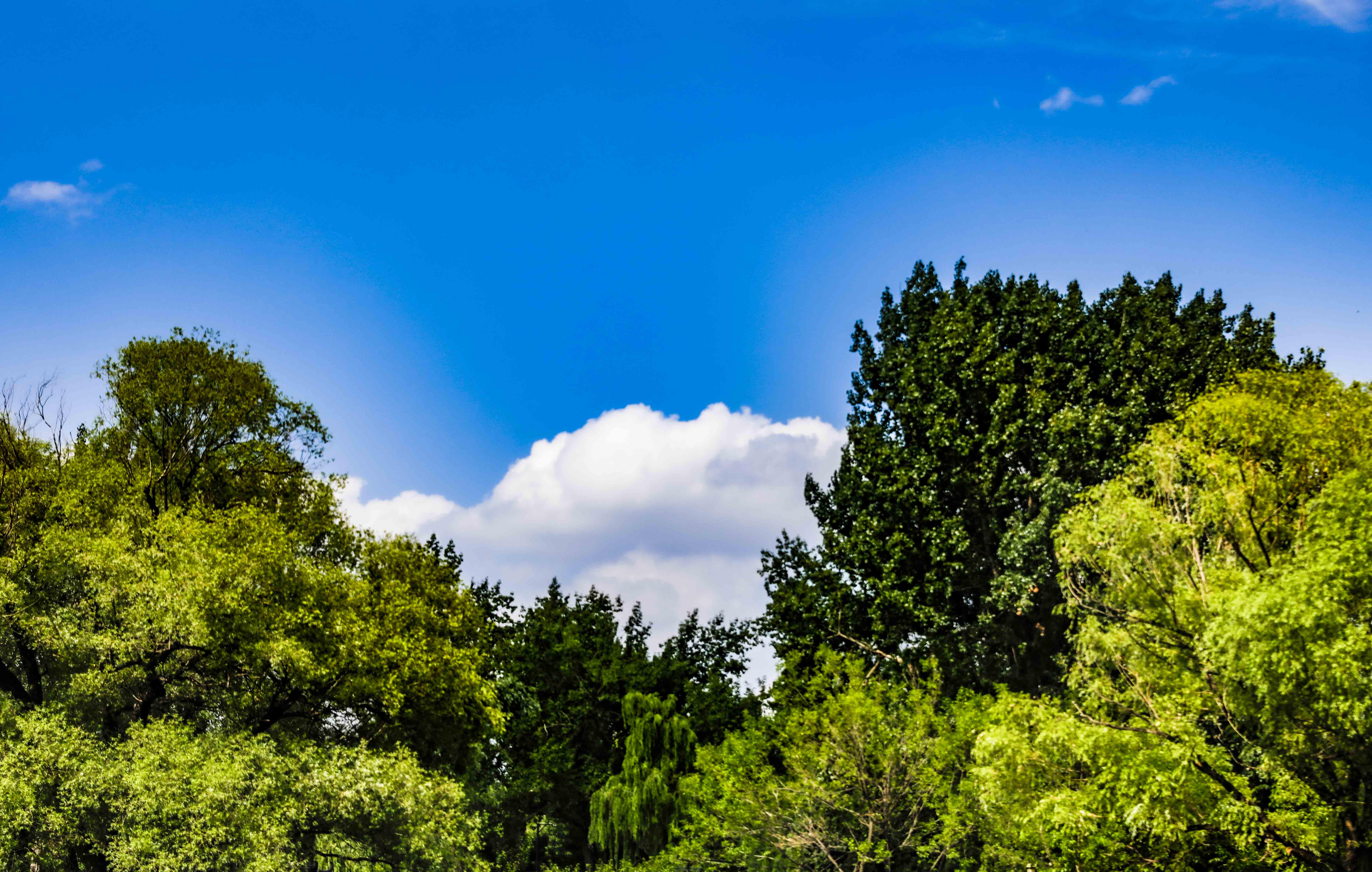 青州夏季一日游的好地方,青州周末旅游攻略