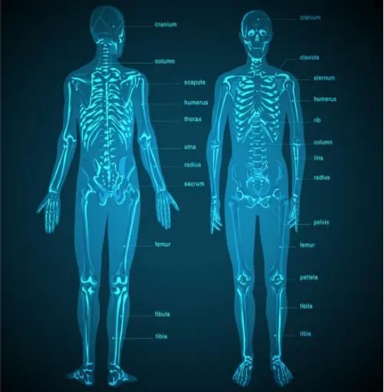 高雅？帅气？有风度？跷二郎腿，有啥好处？