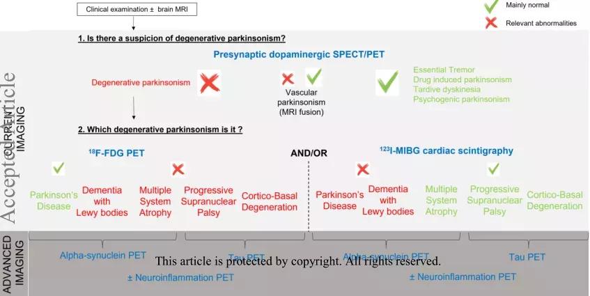 帕金森病的核磁共振影像反应,pet在帕金森病诊断中的意义