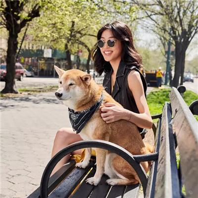 成熟狗狗穿搭,狗界王老五的时尚型穿搭示范