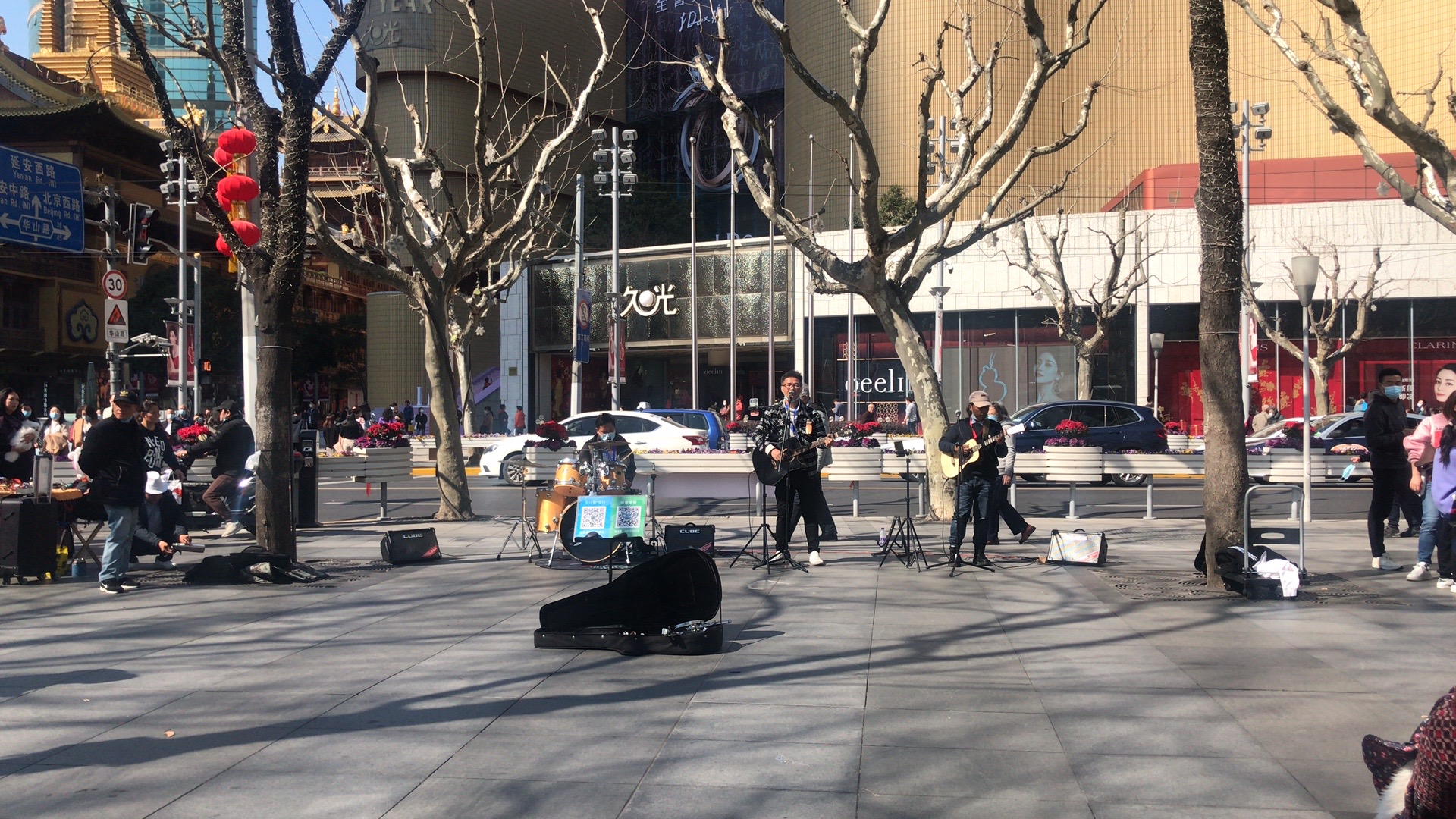 上海的春天视频,上海的春天美景