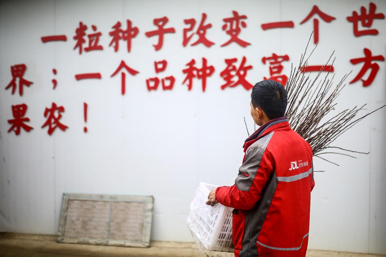 农民种树致富,种树致富之路