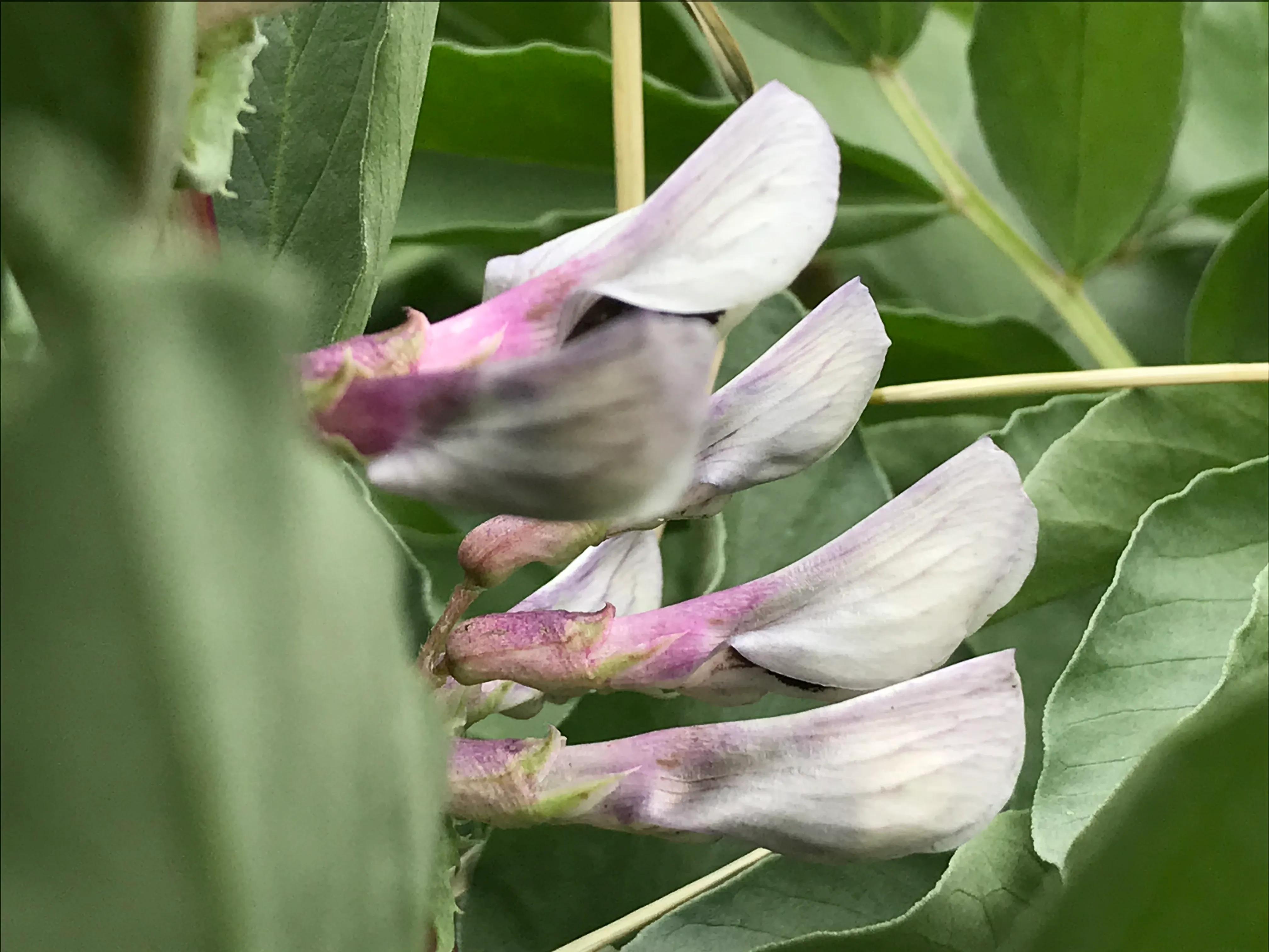 踏青山海秘境,石塘竹海游玩的最佳季节