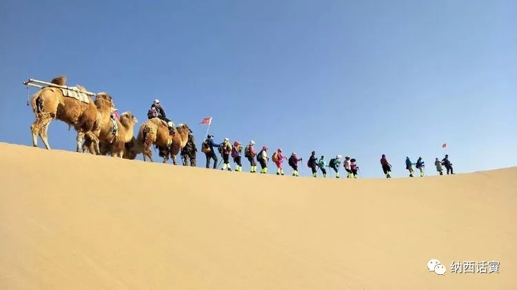 叶紫被雷劈穿越到异界,关于叶紫的穿越小说