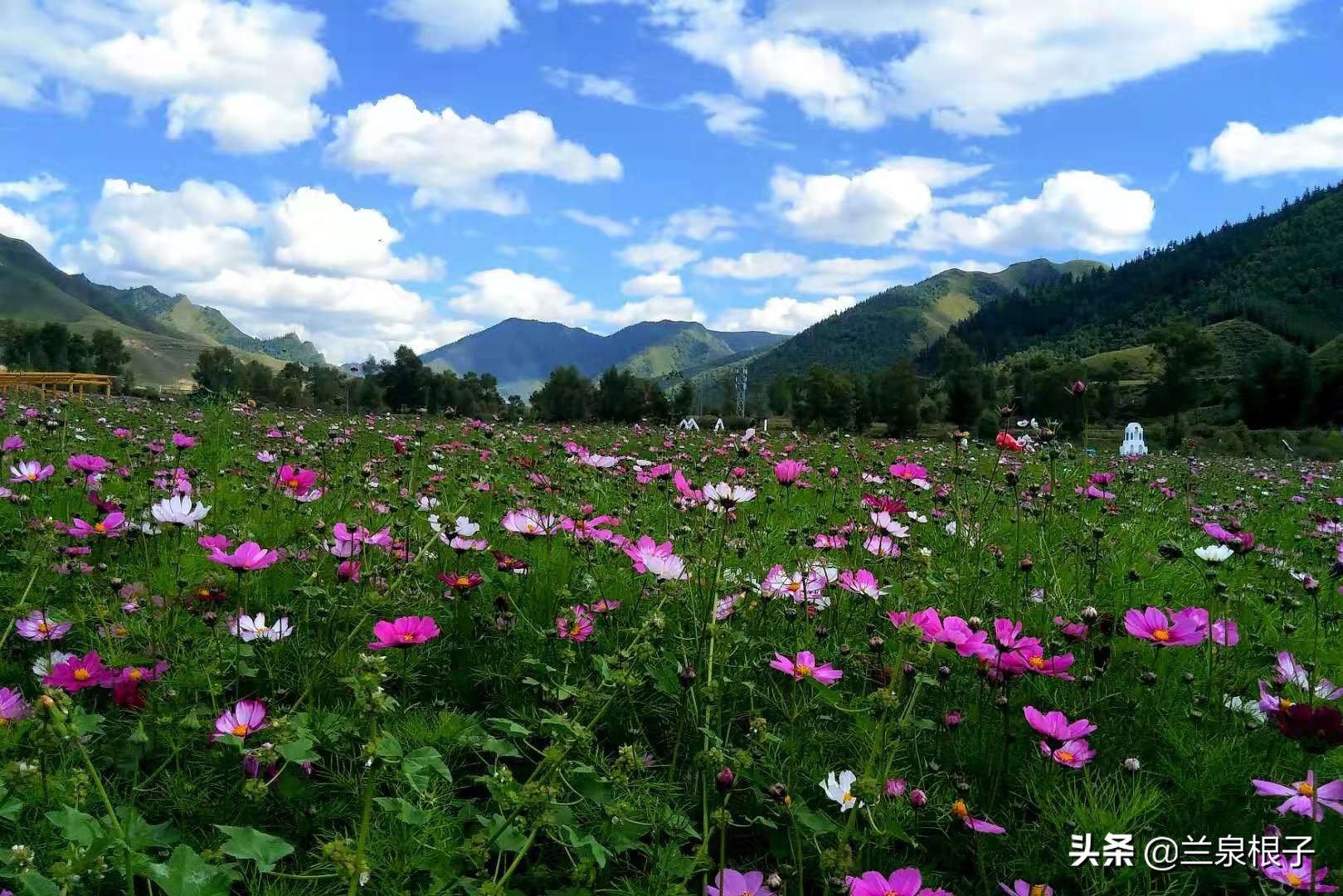 夏河县达尔宗湖景区电话,夏河县达尔宗湖游玩攻略