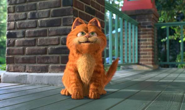 你是否也是猫奴呢？这只好吃懒*爱做**欺负其他动物的肥猫你还记得吗