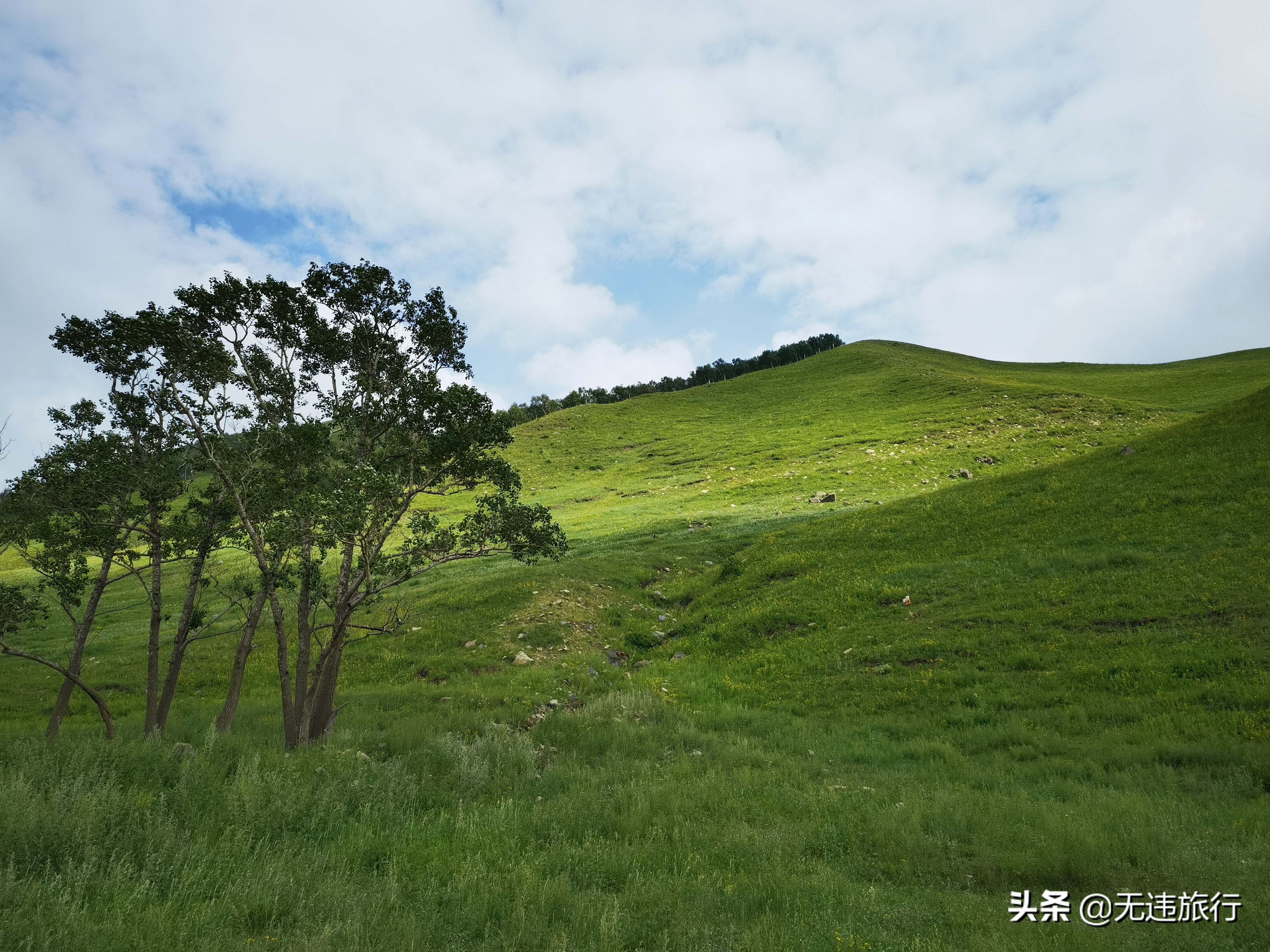 辉腾锡勒草原黄花沟游玩时长,辉腾锡勒草原黄花沟见闻