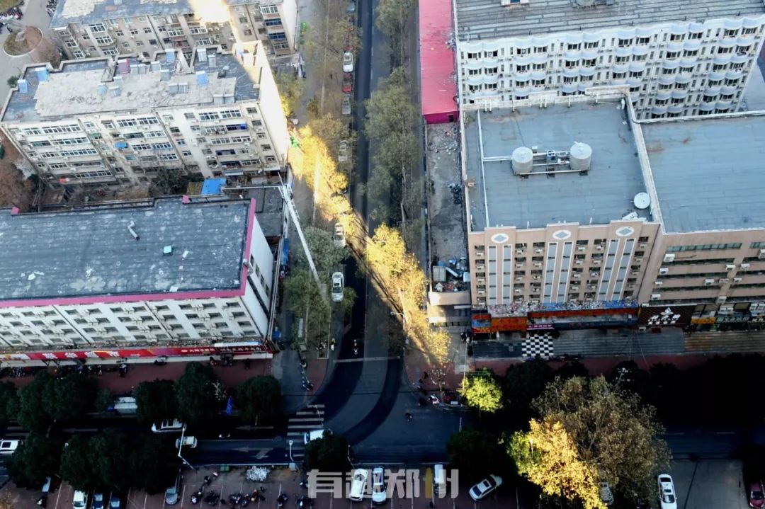 郑州元旦有啥好玩的,元旦快乐有惊喜