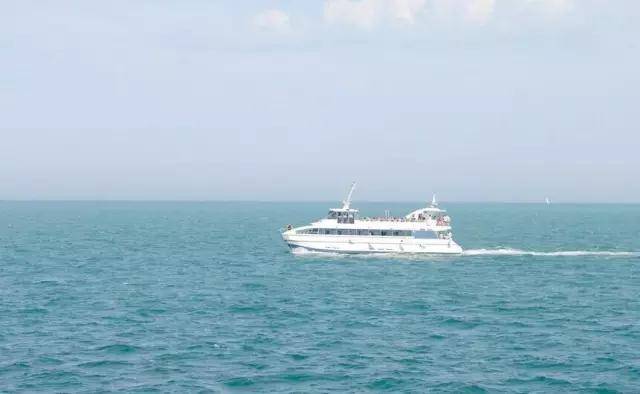 广东小帕劳,下川岛小帕劳