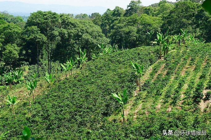 圭亚那属于拉丁美洲国家吗,圭亚那是南美唯一不独立的国家吗