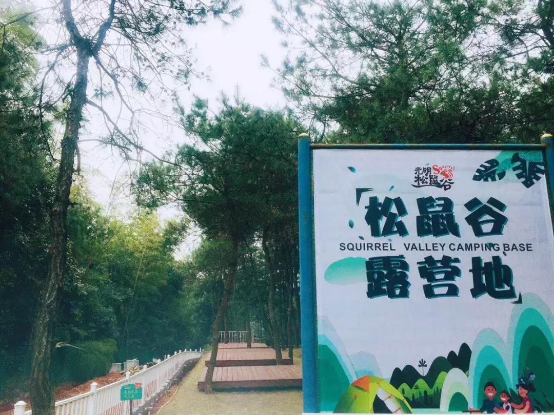 长沙松鼠园游玩攻略,端午长沙再成旅游热门目的地