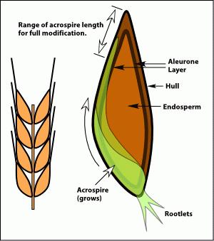 糖瓜粘和灶糖,糖瓜粘住灶王爷的牙
