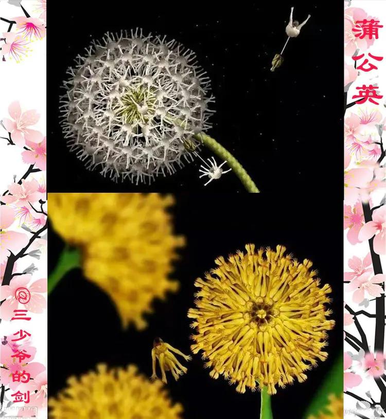 太美:她用裸体模特为宁乡人打造出一个斑斓的春天