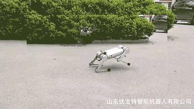 高端智能机器狗,wavego仿生机器狗