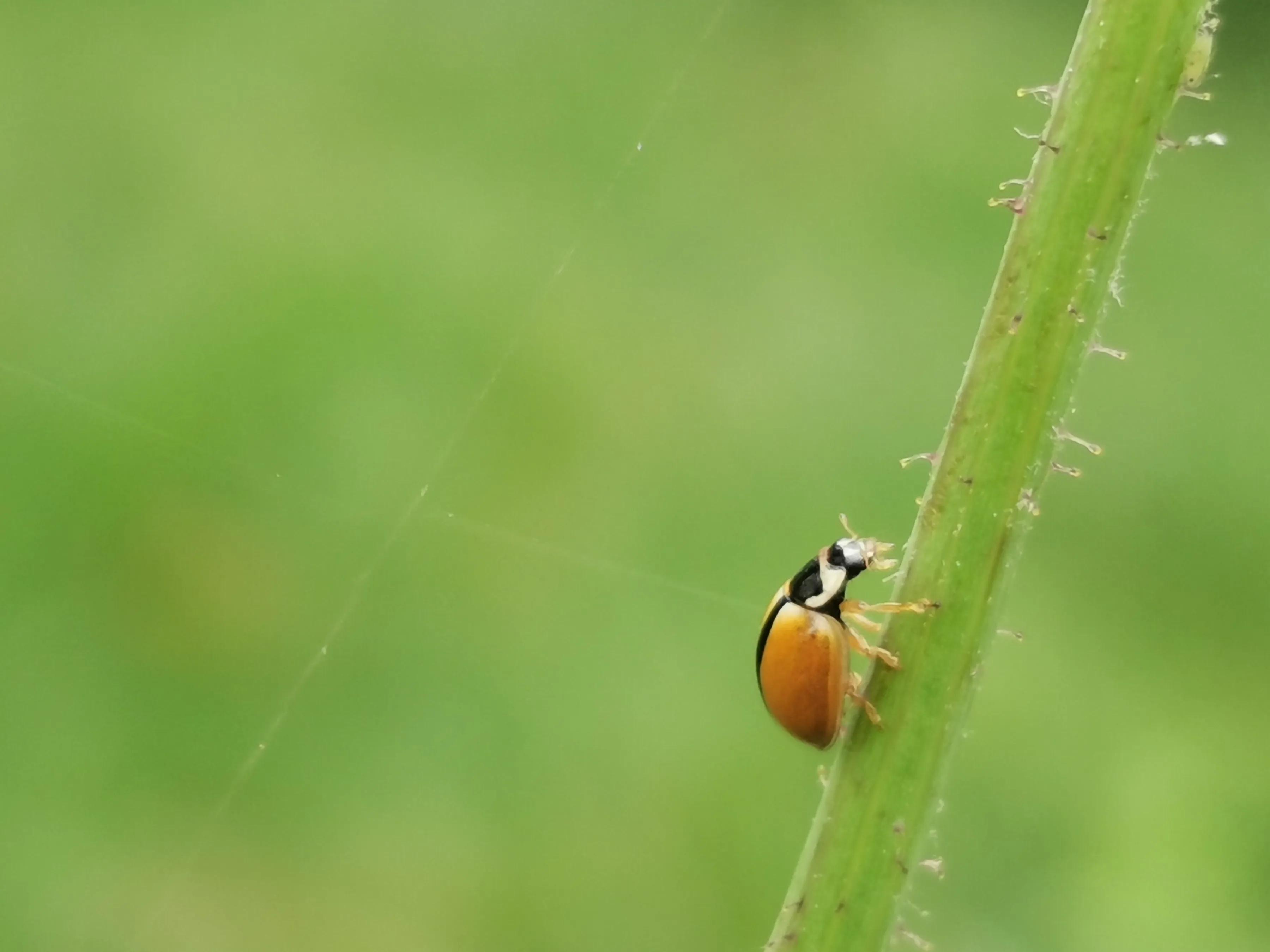 手拍世界投稿,手拍世界作品专集