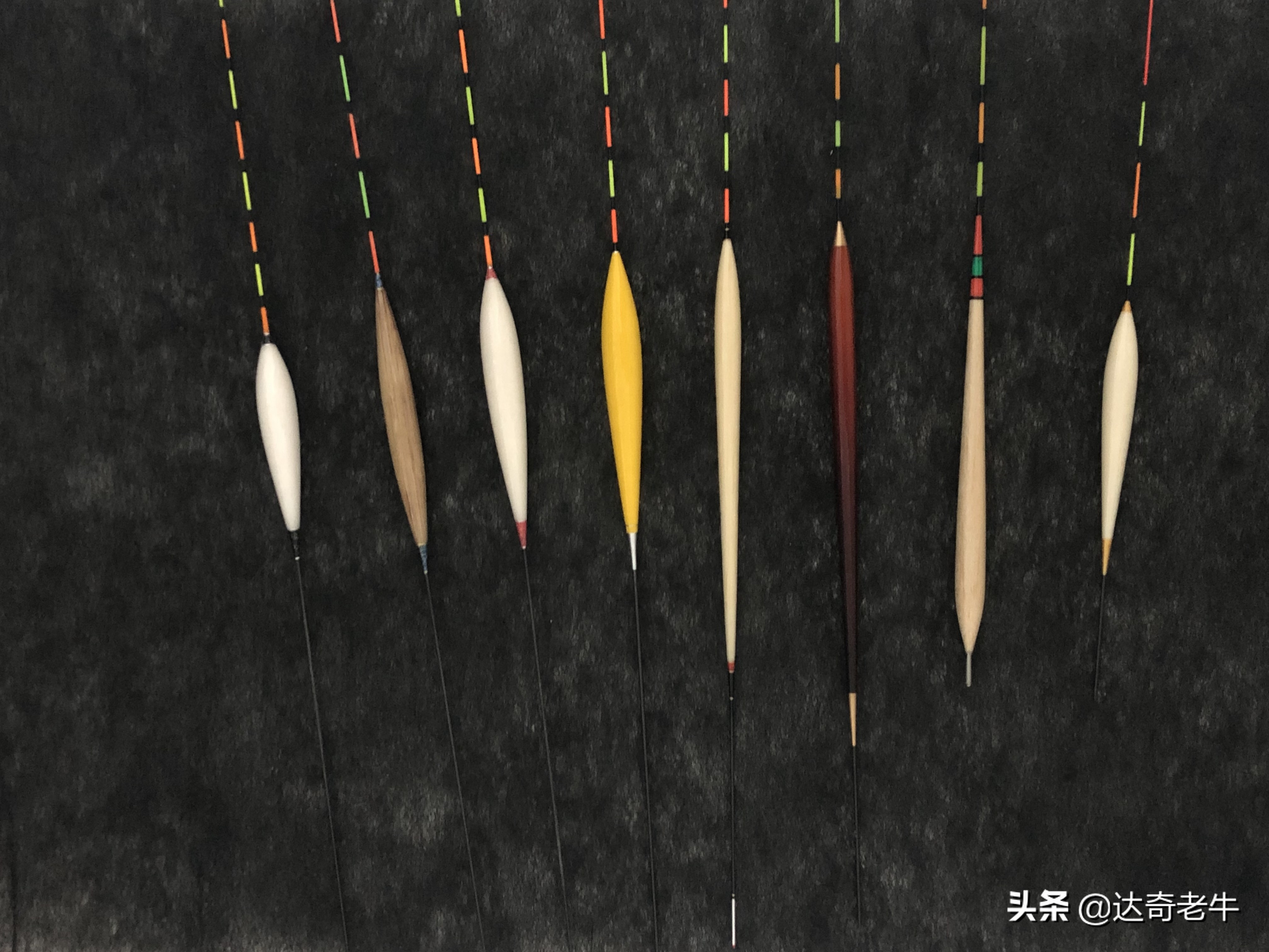 钓鲫鱼红虫蚯蚓正确方法,红虫蚯蚓怎么钓大板鲫