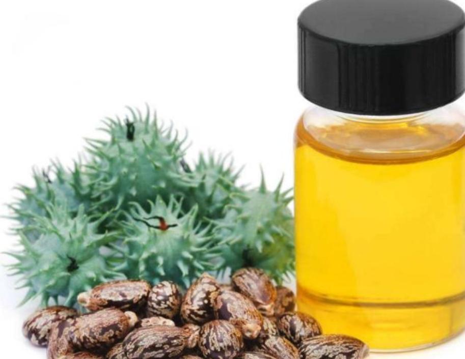 蓖麻子为什么成为了战略物资,蓖麻国家禁止吗