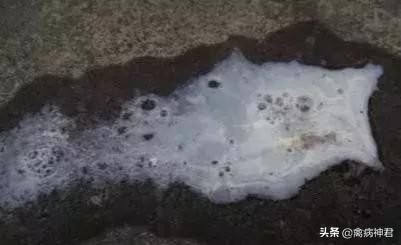 鸡黑痢怎么治疗,鸡咳嗽哮喘拉白痢用什么药治疗