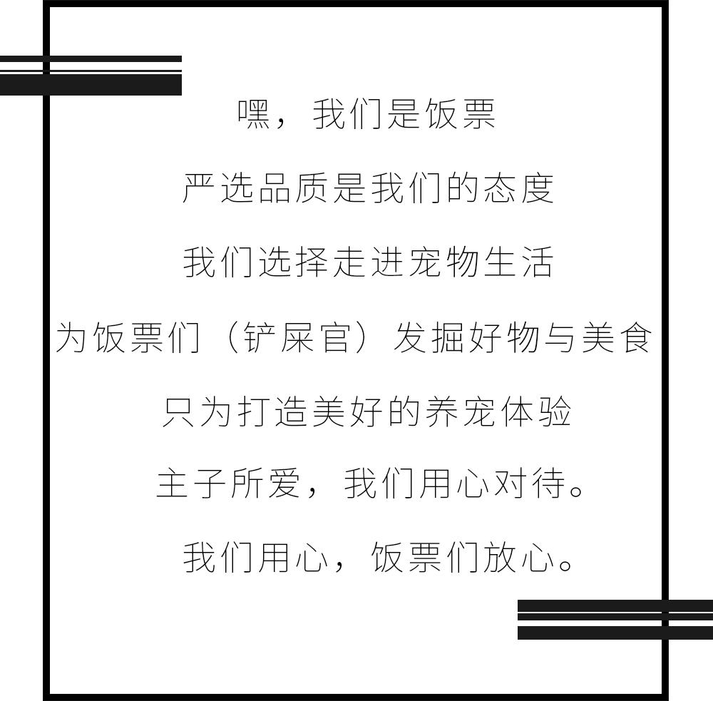 猫咪干货,如何判断猫咪的健康问题