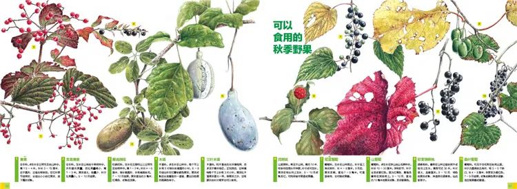 适合物理基础差的教辅书,高中生物理书籍推荐