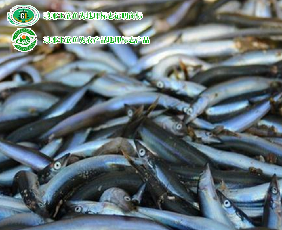 青岛最值得买的十大特产,青岛特产必买十大特产清单