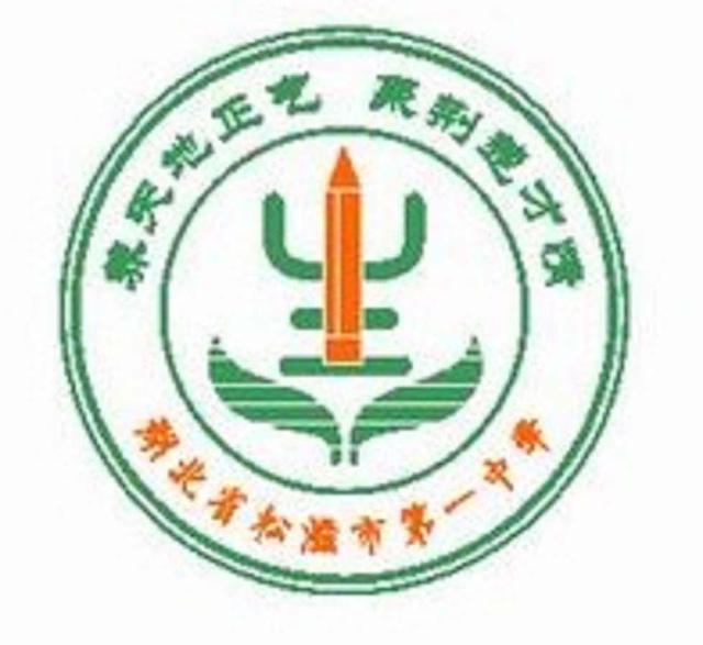 荆州重点高中录取分数线,荆州成丰学校是重点高中吗