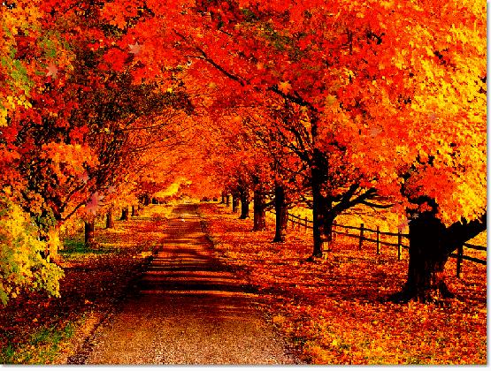 想当诗人,学打油诗的技巧和方法