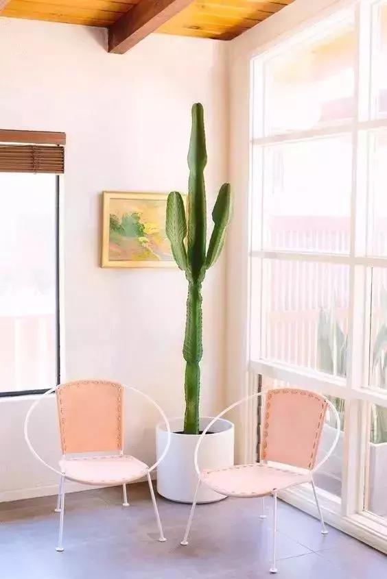 早春新款奶油 (秋冬奶油系)