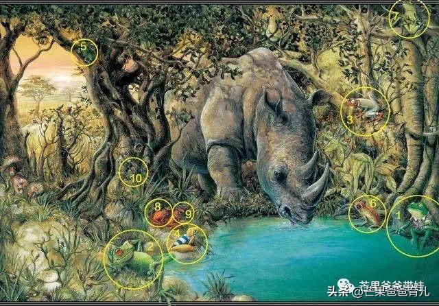 幼儿园推荐的100本绘本,适合幼儿园老师看的绘本