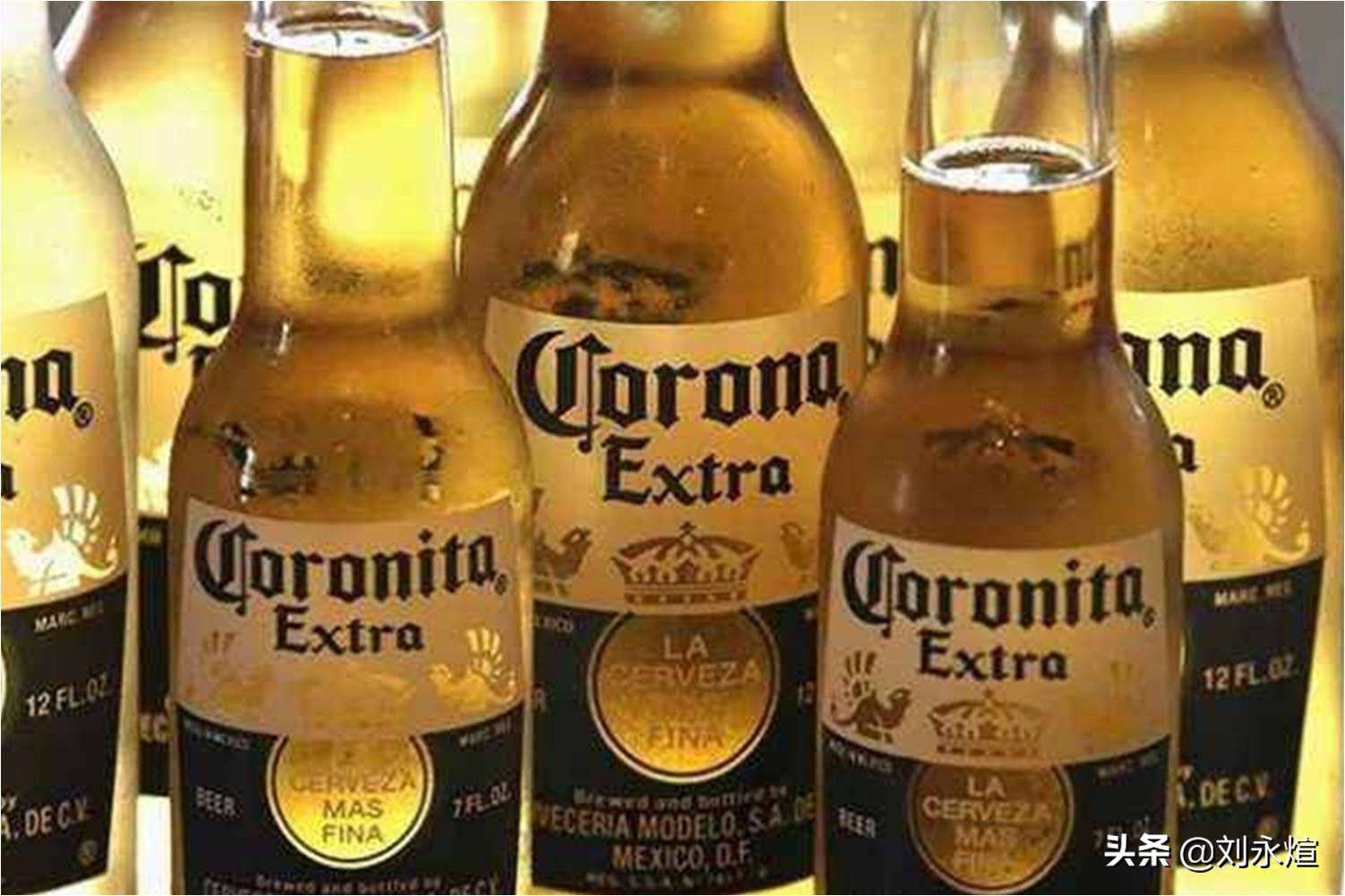 鏂板啝鐥呮瘨涓庣缃楀,鏂板啝鐥呮瘨鍜岀缃楀