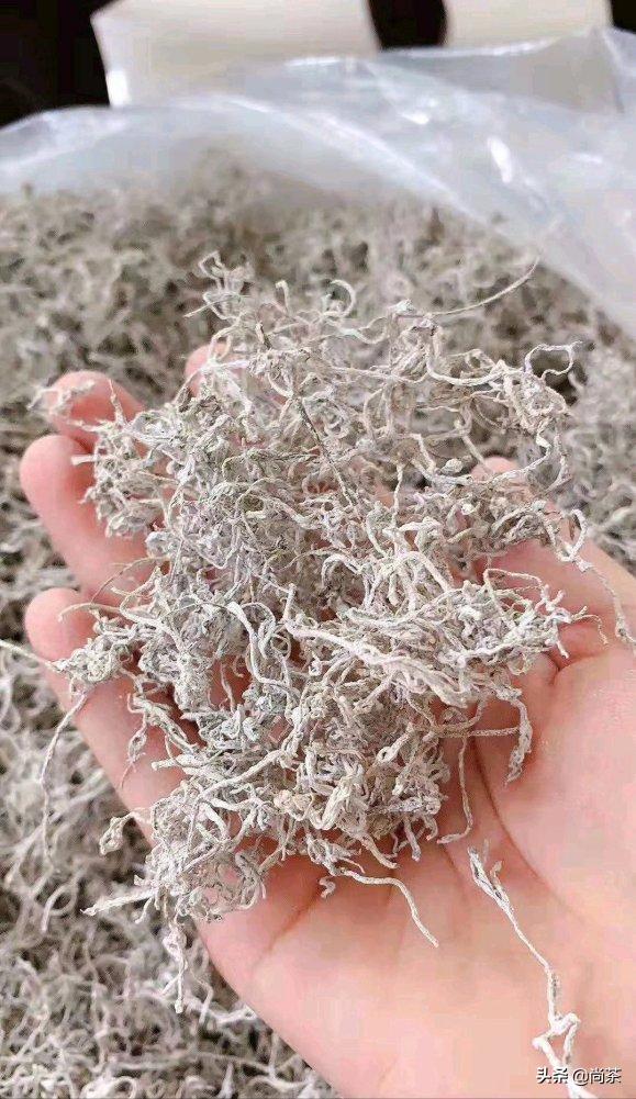 龙须茶大名叫什么茶好听,龙须茶是什么茶种