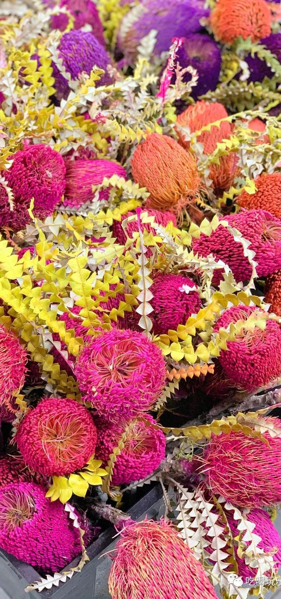 北京崇文区西花市大街,北京通州花市在哪里