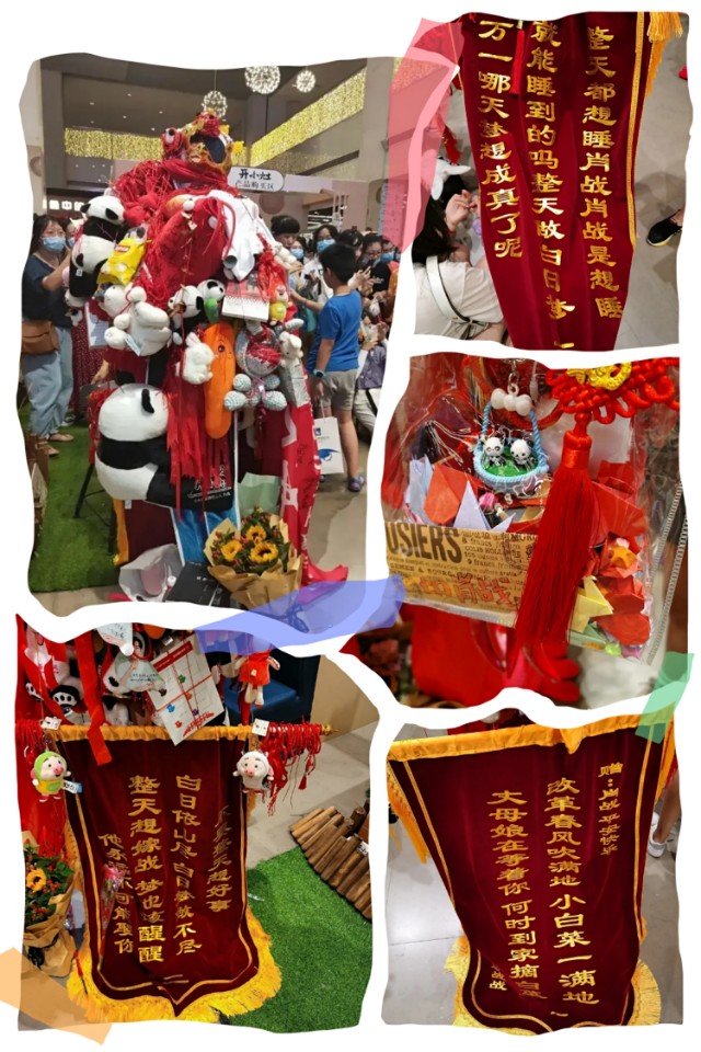 肖战你所期待的夏天是什么样的,肖战你所期待的夏天是什么样子的