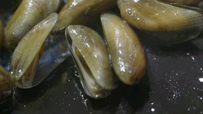 饿着肚子看美食对身体好吗,饿着肚子看别人吃饭的危害