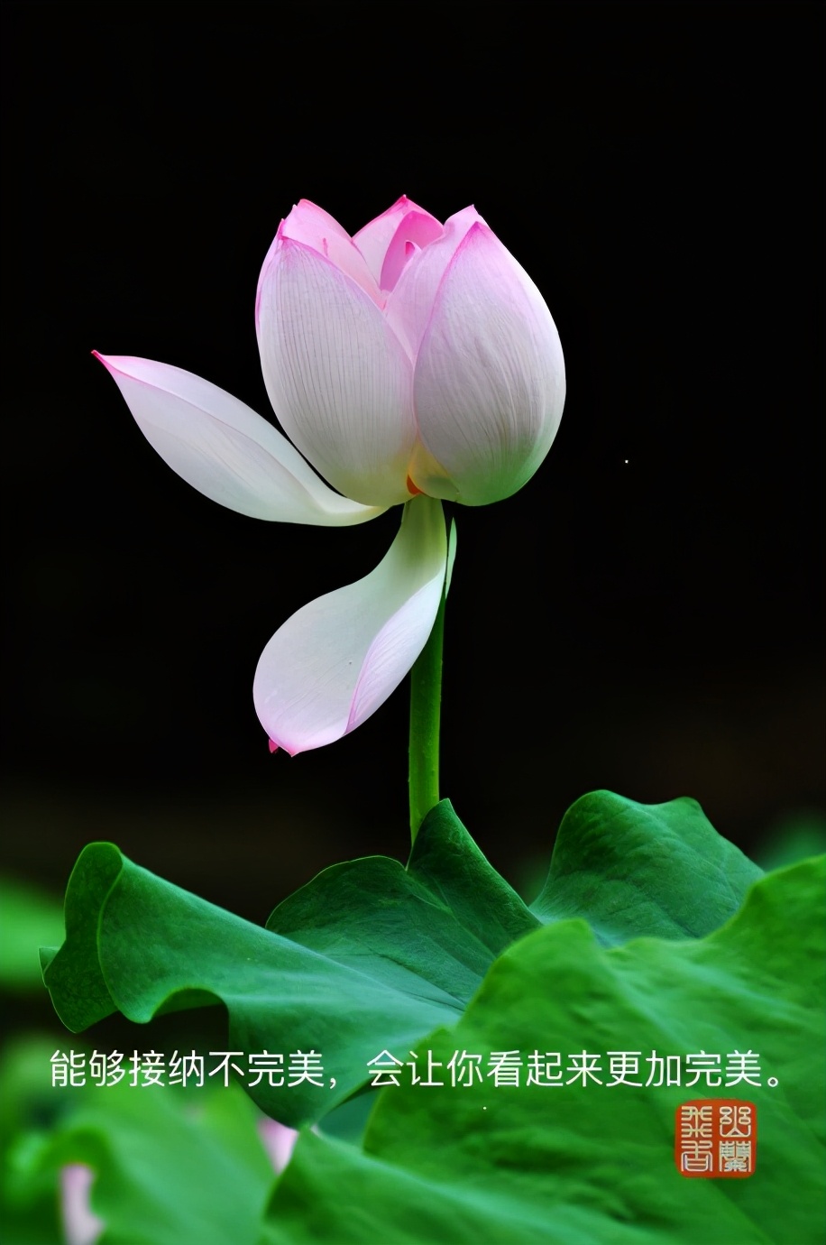 心中的神明,心中的神明作文