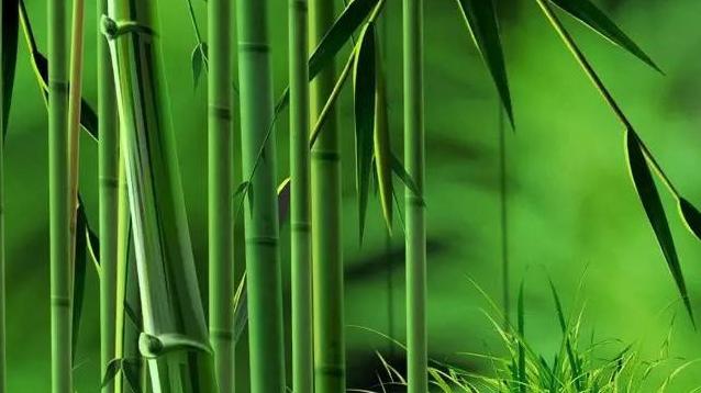 别在意别人说你傻,不要在意别人爱不爱你努力变优秀